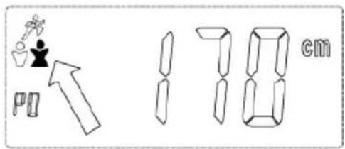 PO 178 cm