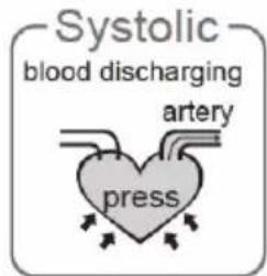 Systolic blood discharging artery press