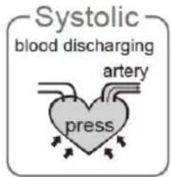 Systolic blood discharging artery press