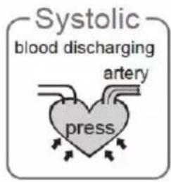 Systolic blood discharging artery press