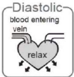 Duronic BPM450 - Was ist systolischer Druck und diastolischer Druck? - 2