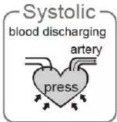 Systolic blood discharging artery press