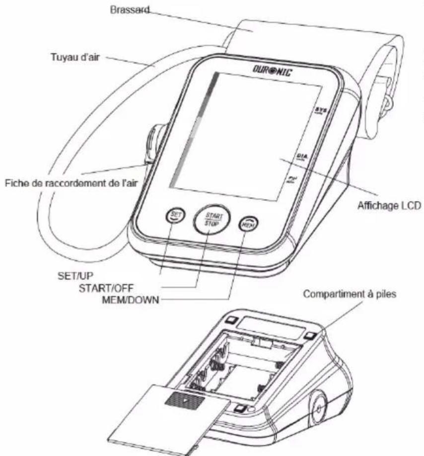 Brassard Tuyau d'air Fiche de raccordement de l'air SET/UP START/OFF MEM/DOWN SET/STOP START/STOP MEM Affichage LCD Compartment à piles