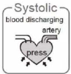 Systolic blood discharging artery press