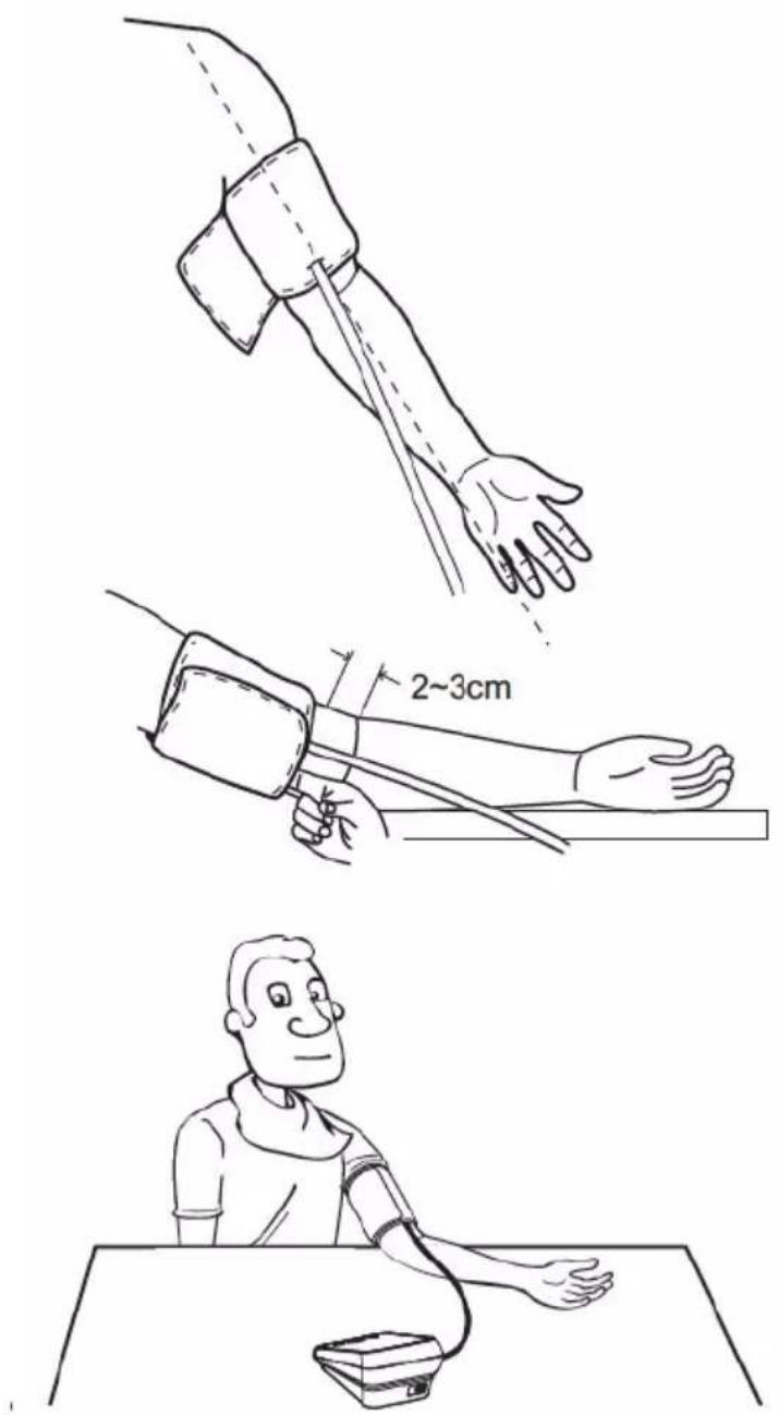 2~3cm