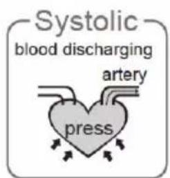 Systolic blood discharging artery press