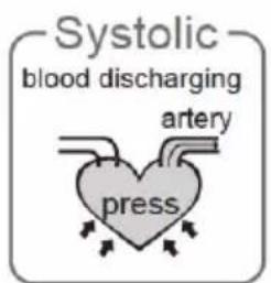 Systolic blood discharging artery press