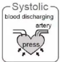 Systolic blood discharging artery press