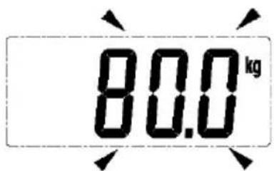 80.0 kg