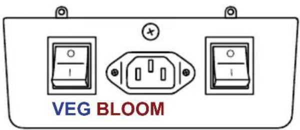 VEG BLOOM