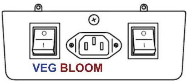 VEG BLOOM
