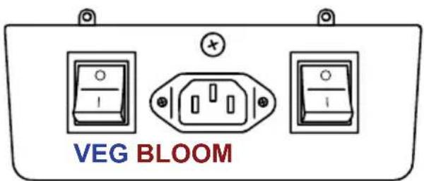 VEG BLOOM