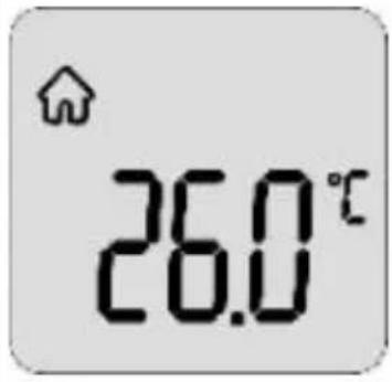 Duronic IRT3W - Voorwerptemperatuur Meten - 2