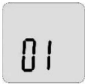 Duronic IRT3W - Visualizzare le misurazioni memorizzate - 1