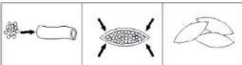 Duronic MG301 - Step 5: Filling the kibbe - 1