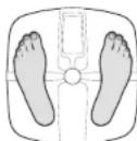 Duronic BS901 - DURNIC - 2