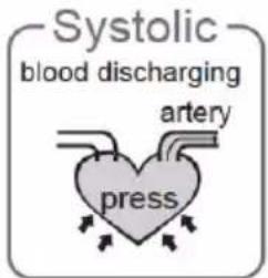 Duronic BPM490 - What are systolic pressure and diastolic pressure? - 1