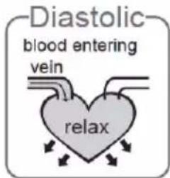 Duronic BPM490 - What are systolic pressure and diastolic pressure? - 2