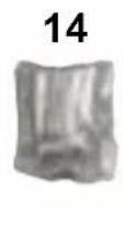 Duronic FN55 - DURONIC - 2