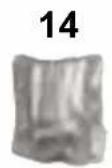Duronic FN55 - Fan Components - 3