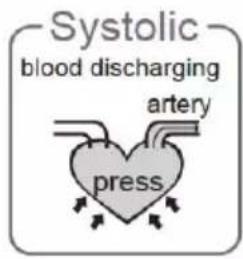 Systolic blood discharging artery press
