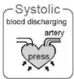 Systolic blood discharging artery press