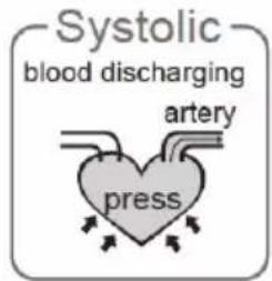 Systolic blood discharging artery press