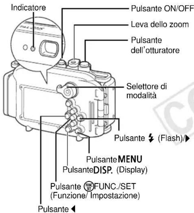 CANON WP-DC31 - Stockage - 1