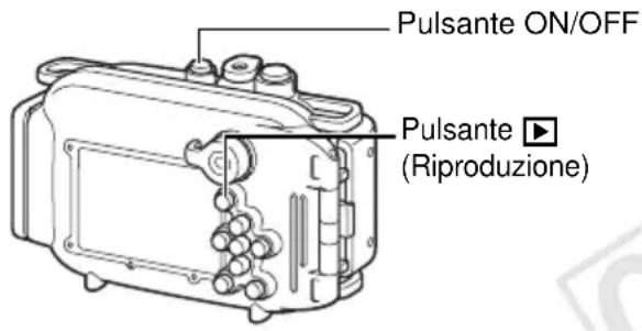 Pulsante ON/OFF Pulsante ▶ (Riproduzione)
