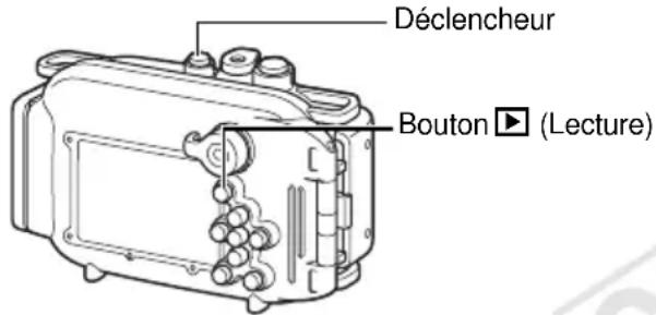 Déclencheur Bouton ▶ (Lecture)