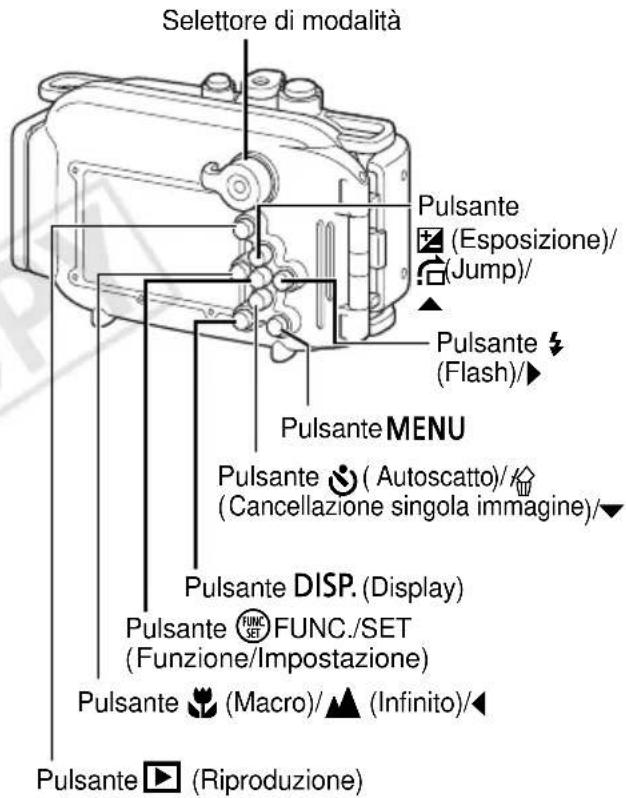 Selettore di modalità Pulsante (Esposizione)/ (Jump)/ Pulsante (Flash)/▶ Pulsante MENU Pulsante (Autoscatto)// (Cancellazione singola immagine)/▼ Pulsante DISP. (Display) Pulsante FUNC./SET (Funzione/Impostazione) Pulsante (Macro)/▲ (Infinito)/◀ Pulsante ▶ (Riproduzione)