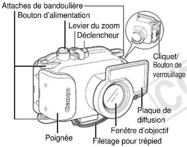 Attaches de bandoulière Bouton d'alimentation Levier du zoom Déclencheur Cliquet/ Bouton de verrouillage Plaque de diffusion Fenêtre d'objectif Filetage pour trépied Poignée