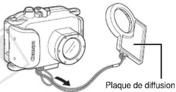 Plaque de diffusion
