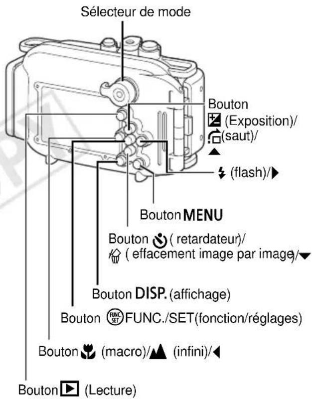 Sélecteur de mode Bouton (Exposition)/ (saut)/ (flash)/▶ Bouton MENU Bouton (retardateur)/ (effacement image par image/▼ Bouton DISP. (affichage) Bouton ⭕ FUNC./SET(fonction/réglages) Bouton (macro)/▲ (infini)/◀ Bouton ▶ (Lecture)