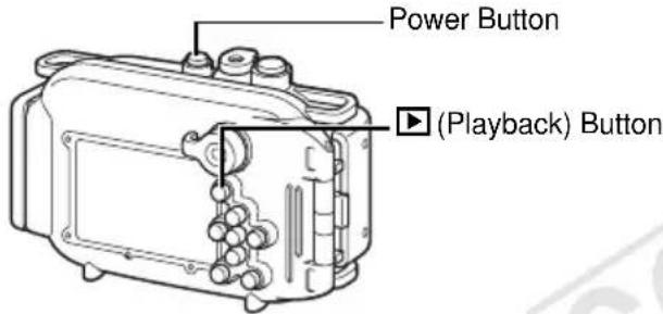 Power Button ▶ (Playback) Button