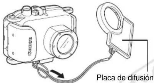 Placa de difusión