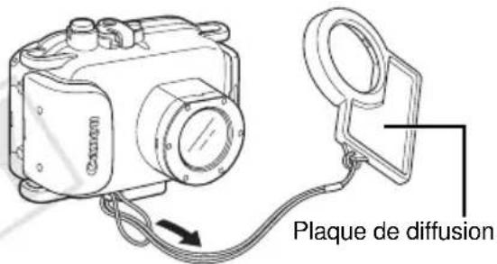 Plaque de diffusion