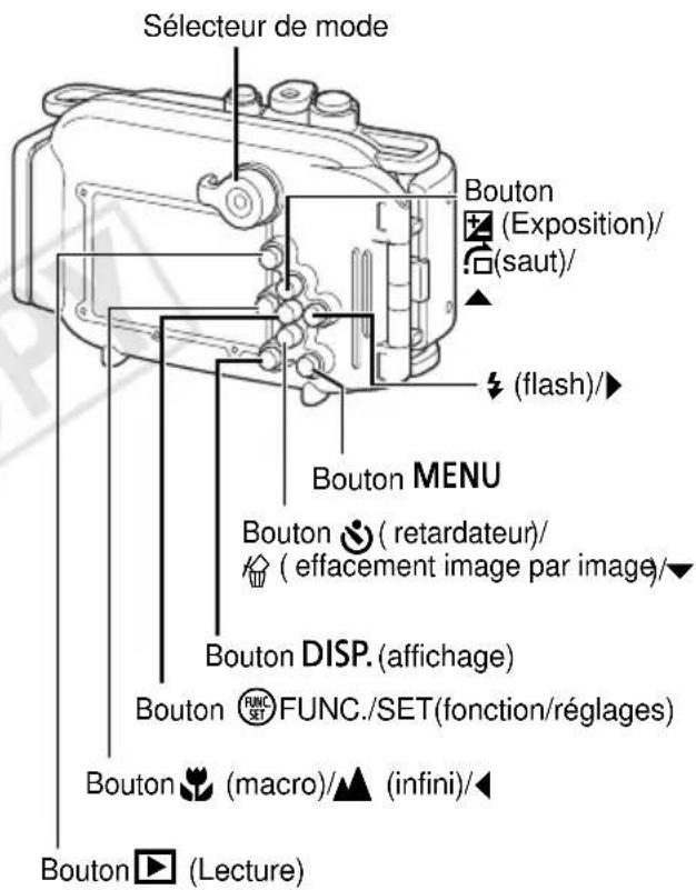Sélecteur de mode Bouton (Exposition)/ (saut)/ (flash)/▶ Bouton MENU Bouton (retardateur)/ (effacement image par image/▼ Bouton DISP. (affichage) Bouton ⭕ FUNC./SET(fonction/réglages) Bouton (macro)/▲ (infini)/◀ Bouton ▶ (Lecture)