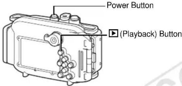 Power Button ▶ (Playback) Button