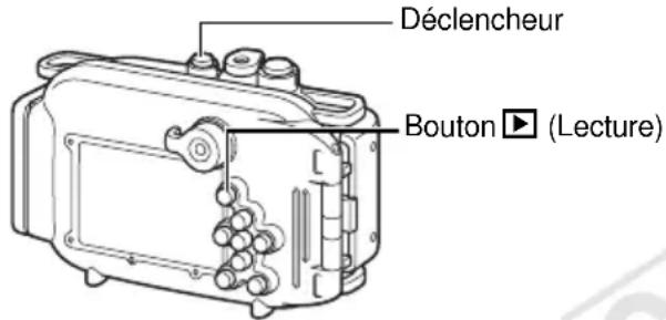 Déclencheur Bouton ▶ (Lecture)