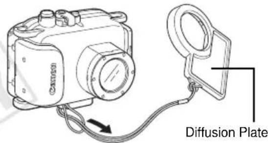 Diffusion Plate