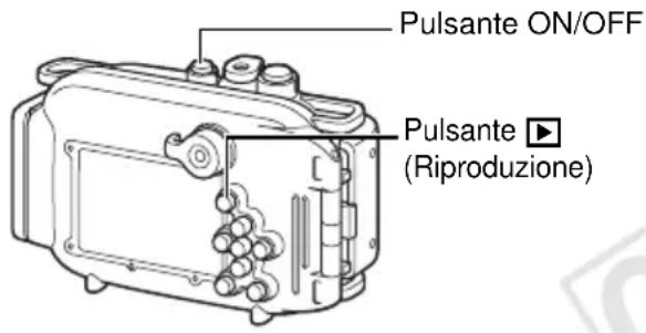 Pulsante ON/OFF Pulsante ▶ (Riproduzione)