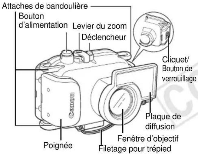 Attaches de bandoulière Bouton d'alimentation Levier du zoom Déclencheur Cliquet/ Bouton de verrouillage Plaque de diffusion Fenêtre d'objectif Filetage pour trépied Poignée