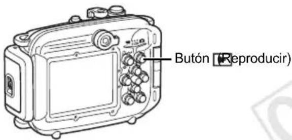 Butón (Reproducir)