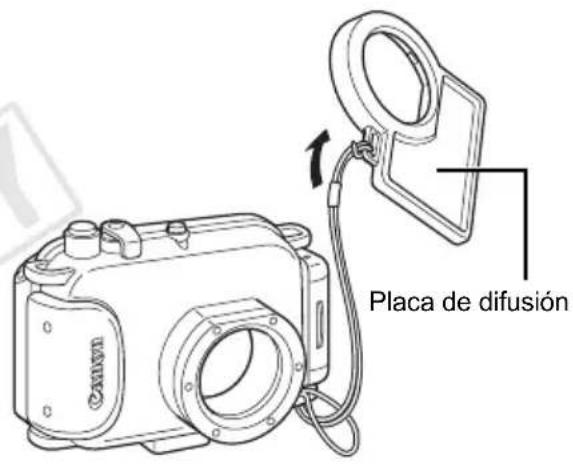 Placa de difusión