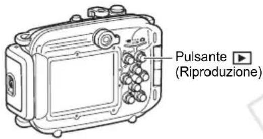 Pulsante ▶ (Riproduzione)