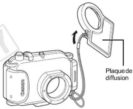 Plaque de diffusion