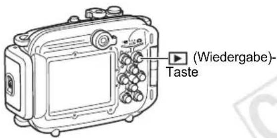 (Wiedergabe)- Taste