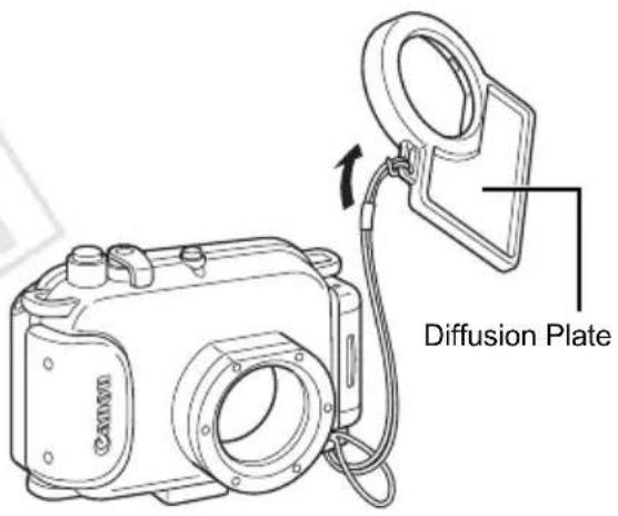 Diffusion Plate