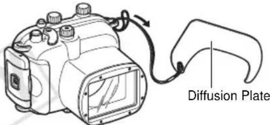 Diffusion Plate